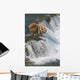 Adult Brown Bear Fishing For Salmon At Top Of Brooks Falls Wall Mural