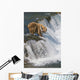 Adult Brown Bear Fishing For Salmon At Top Of Brooks Falls Wall Mural