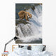 Adult Brown Bear Fishing For Salmon At Top Of Brooks Falls Wall Mural