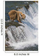 Adult Brown Bear Fishing For Salmon At Top Of Brooks Falls Wall Mural