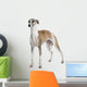 Young Whippet Standing Front Wall Decal Design 2