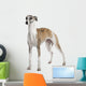 Young Whippet Standing Front Wall Decal Design 2