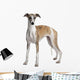 Young Whippet Standing Front Wall Decal Design 1