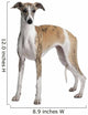 Young Whippet Standing Front Wall Decal Design 1