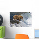 Adult Brown Bear Fishing For Salmon At Top Of Brooks Falls Wall Mural