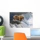 Adult Brown Bear Fishing For Salmon At Top Of Brooks Falls Wall Mural