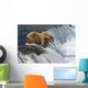 Adult Brown Bear Fishing For Salmon At Top Of Brooks Falls Wall Mural