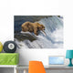 Adult Brown Bear Fishing For Salmon At Top Of Brooks Falls Wall Mural