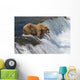 Adult Brown Bear Fishing For Salmon At Top Of Brooks Falls Wall Mural