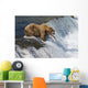 Adult Brown Bear Fishing For Salmon At Top Of Brooks Falls Wall Mural