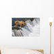 Adult Brown Bear Fishing For Salmon At Top Of Brooks Falls Wall Mural
