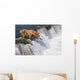 Adult Brown Bear Fishing For Salmon At Top Of Brooks Falls Wall Mural