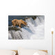 Adult Brown Bear Fishing For Salmon At Top Of Brooks Falls Wall Mural