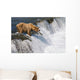 Adult Brown Bear Fishing For Salmon At Top Of Brooks Falls Wall Mural