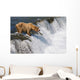 Adult Brown Bear Fishing For Salmon At Top Of Brooks Falls Wall Mural