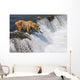 Adult Brown Bear Fishing For Salmon At Top Of Brooks Falls Wall Mural