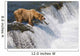 Adult Brown Bear Fishing For Salmon At Top Of Brooks Falls Wall Mural
