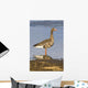 White-Fronted Goose Stands Wall Mural