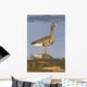 White-Fronted Goose Stands Wall Mural