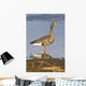 White-Fronted Goose Stands Wall Mural