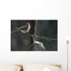 Common Redpolls In Spruce Tree During Snowstorm In Ak Winter Wall Mural
