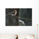 Common Redpolls In Spruce Tree During Snowstorm In Ak Winter Wall Mural