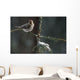 Common Redpolls In Spruce Tree During Snowstorm In Ak Winter Wall Mural