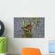 Long-Billed Dowitcher Stands Wall Mural