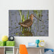Long-Billed Dowitcher Stands Wall Mural