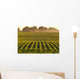 Soybeans at Dusk Wall Mural