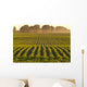 Soybeans at Dusk Wall Mural