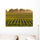 Soybeans at Dusk Wall Mural