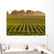 Soybeans at Dusk Wall Mural