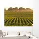 Soybeans at Dusk Wall Mural