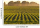 Soybeans at Dusk Wall Mural