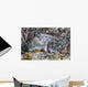 Collared Pika Sits In Rockpile Wall Mural