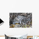 Collared Pika Sits In Rockpile Wall Mural