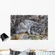 Collared Pika Sits In Rockpile Wall Mural