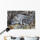Collared Pika Sits In Rockpile Wall Mural