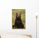 Grizzly Bear Wall Mural