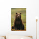 Grizzly Bear Wall Mural
