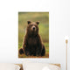 Grizzly Bear Wall Mural