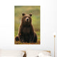 Grizzly Bear Wall Mural