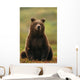 Grizzly Bear Wall Mural