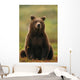 Grizzly Bear Wall Mural