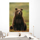 Grizzly Bear Wall Mural