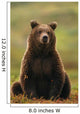 Grizzly Bear Wall Mural