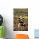Yearling Brown Bear Cub Sits In Autumn Tundra In Ak Fall Denali Np Wall Mural