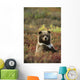 Yearling Brown Bear Cub Sits In Autumn Tundra In Ak Fall Denali Np Wall Mural