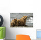 Mother Grizzly With 2nd Year Cubs By River Wall Mural